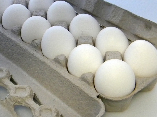 eggs