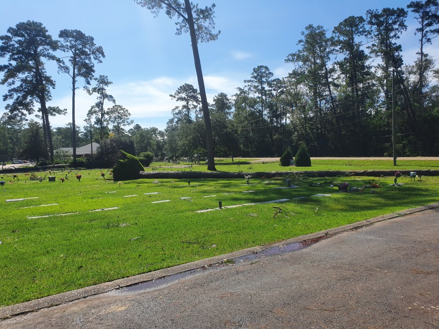 Tree down on cemetery in Covington; EJ Fielding & Sons Funeral Home