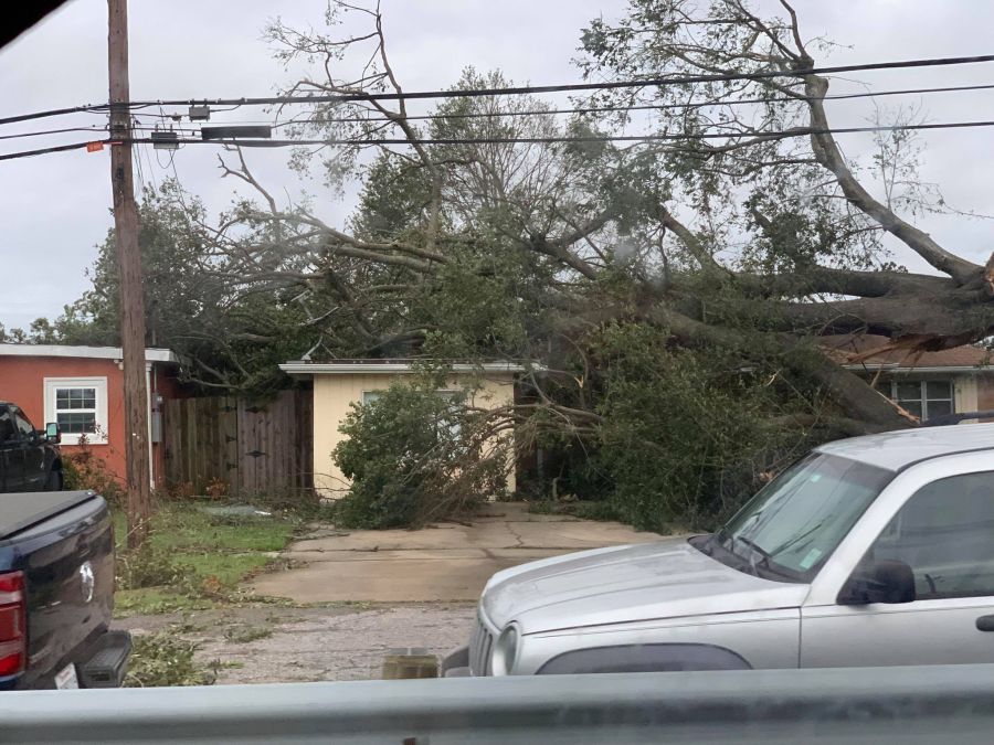 Home damaged by downed tree