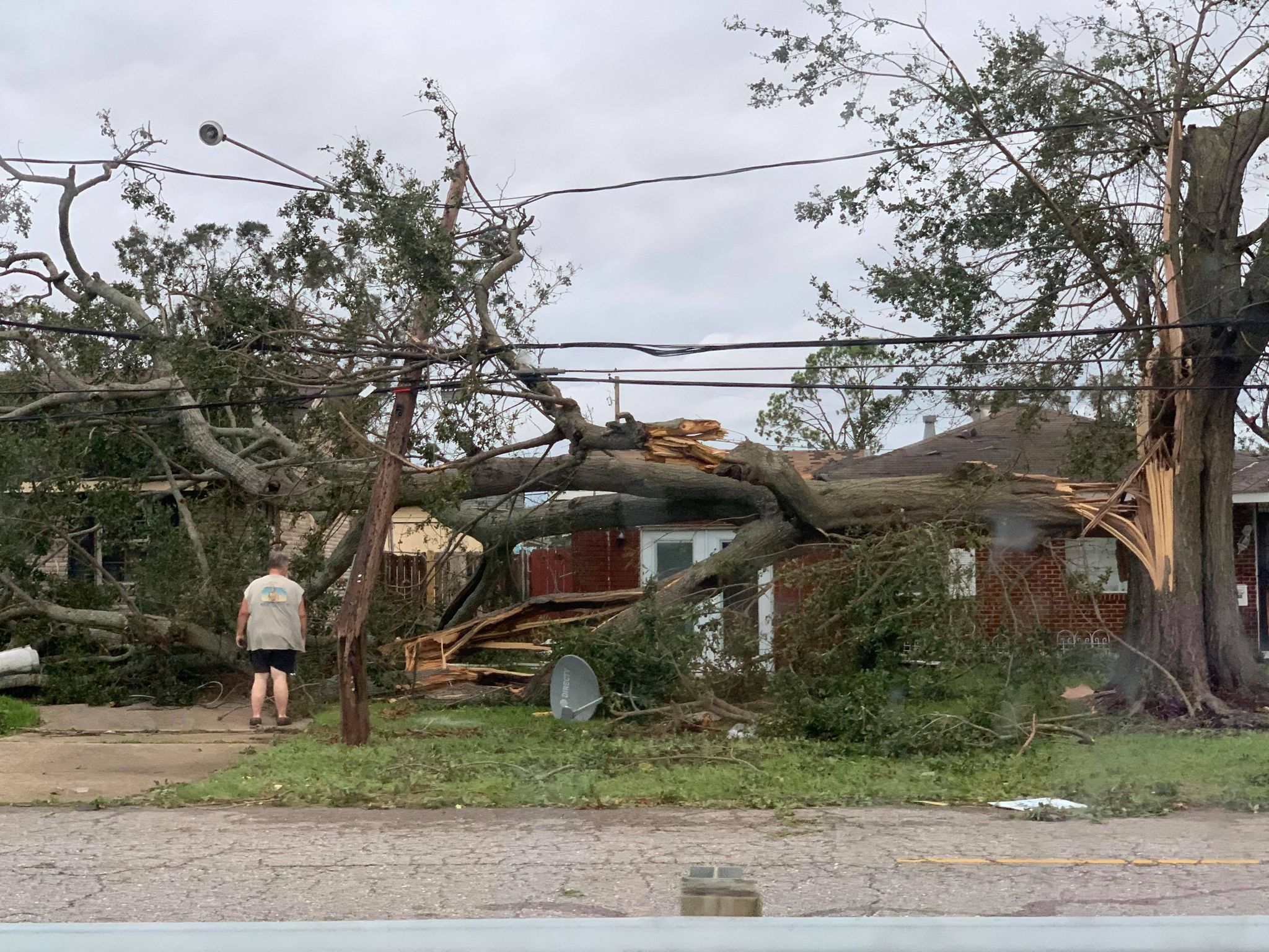 Massive tree crushes home