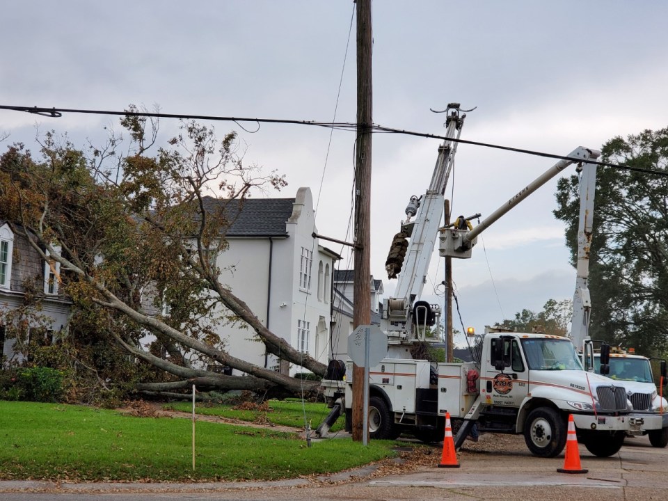 Metairie Road tree and powerline damage