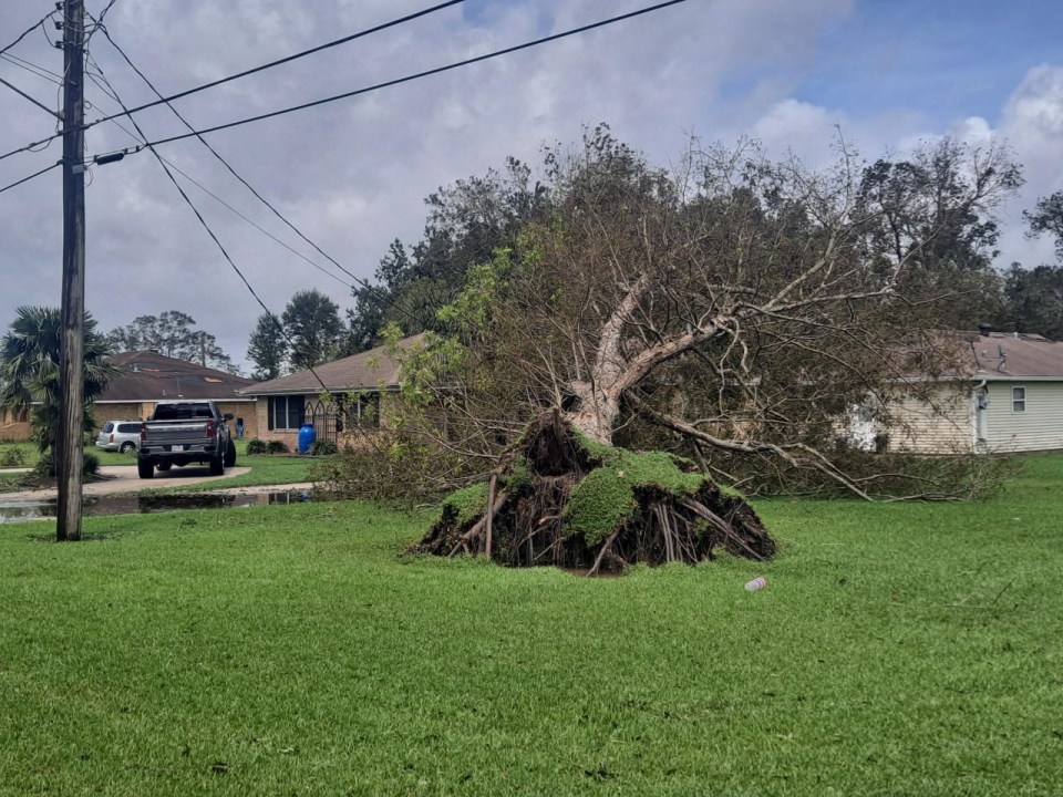 St. Bernard storm damage