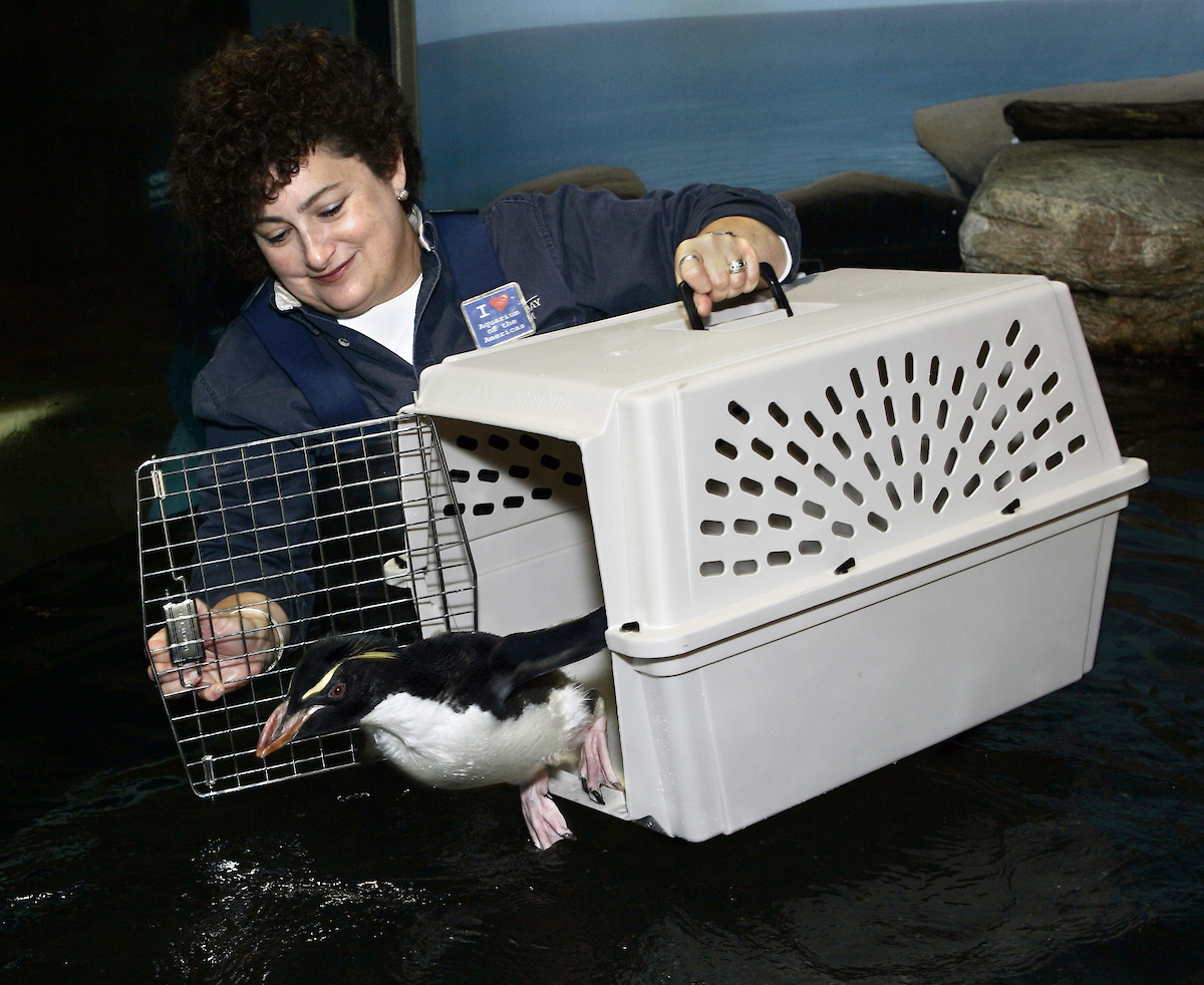 https://digital-stage.wgno.com/news/local/audubon-nature-institue-thanks-betty-white-for-being-a-friend-after-katrina/