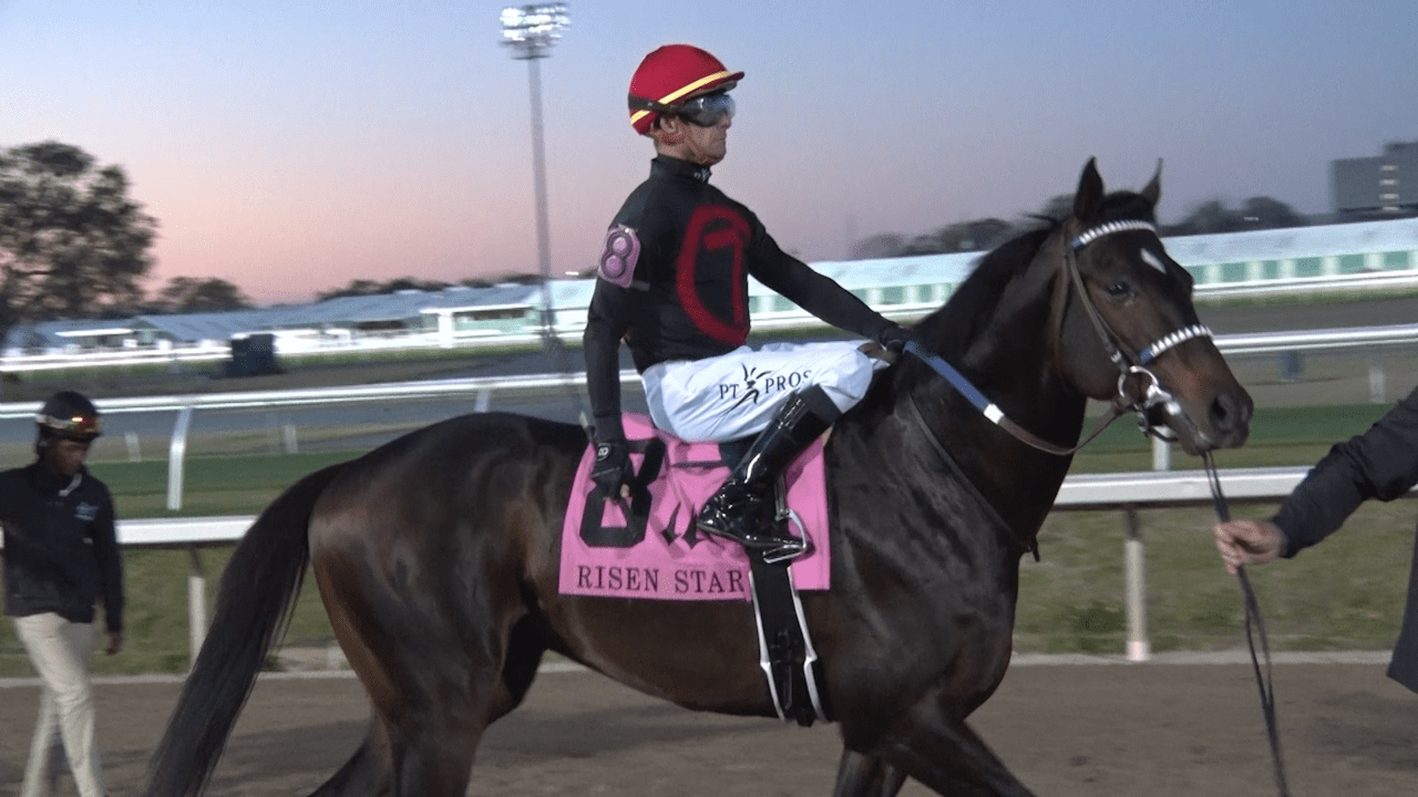 https://digital-stage.wgno.com/news/kentucky-derby-contender-sets-sights-on-nola-fair-grounds-first