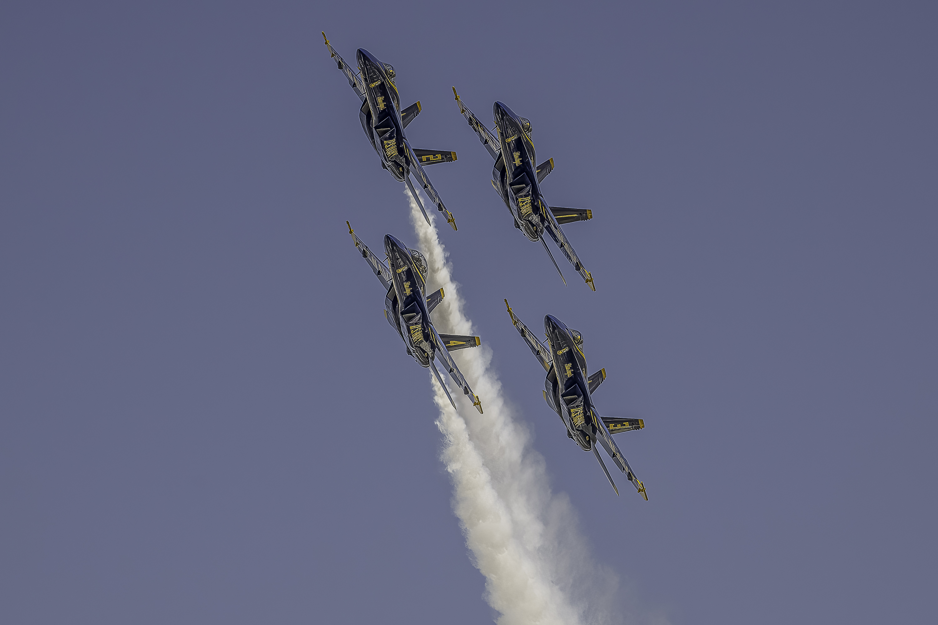 https://digital-stage.wgno.com/news/local/gallery-see-the-spectacular-blue-angels-soar-in-new-orleans-air-show/