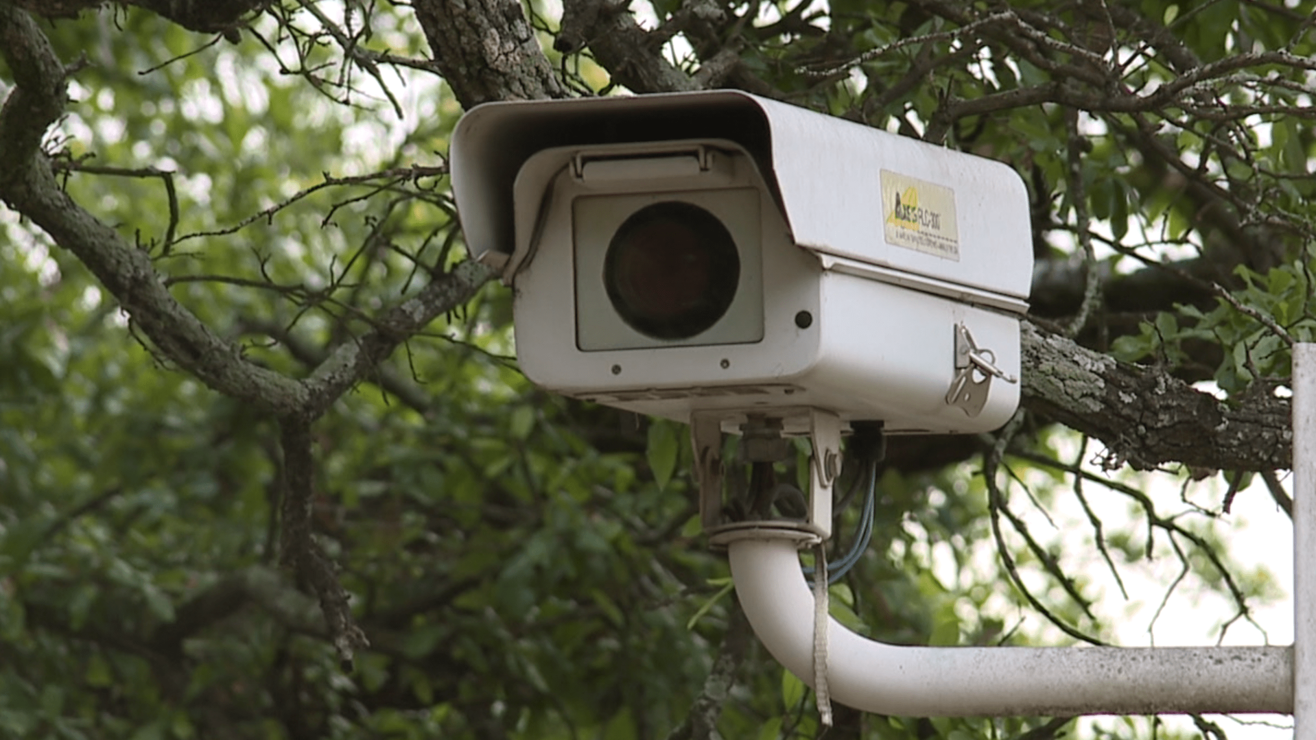 Legislation filed would ban all existing traffic cameras and prevent new ones.