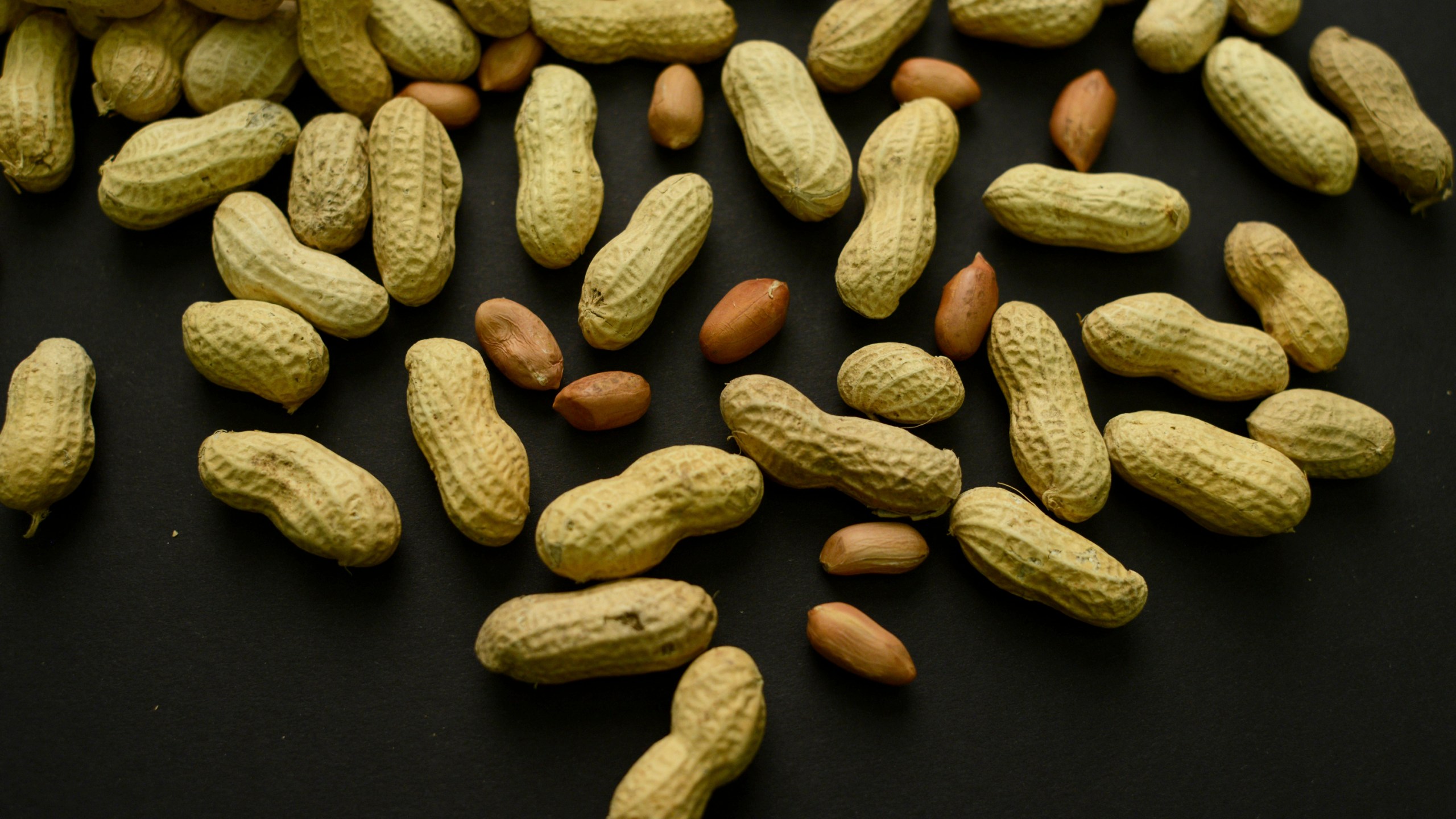 FILE - This Feb. 20, 2015 photo shows an arrangement of peanuts in New York. A study published in the New England Journal of Medicine on Wednesday, May 10, 2023, finds an experimental skin patch shows promise to treat toddlers who are highly allergic to peanuts. (AP Photo/Patrick Sison, File)